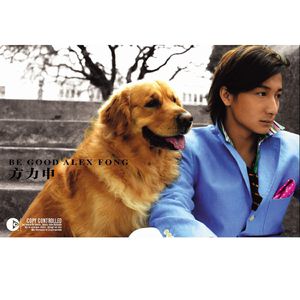 想要叉叉 浏览器
