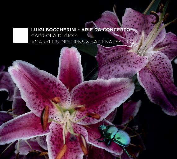 想要叉叉 浏览器
